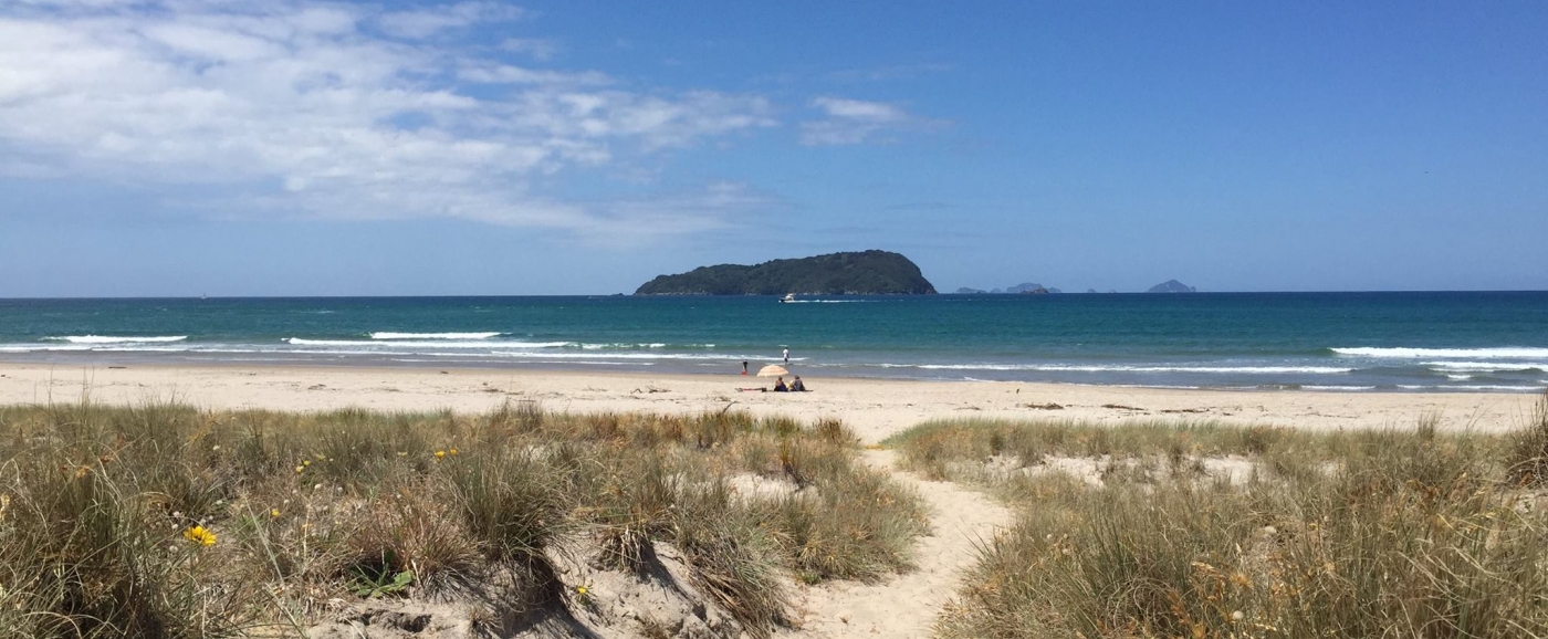 Pauanui Surf Beach and Shoe Island