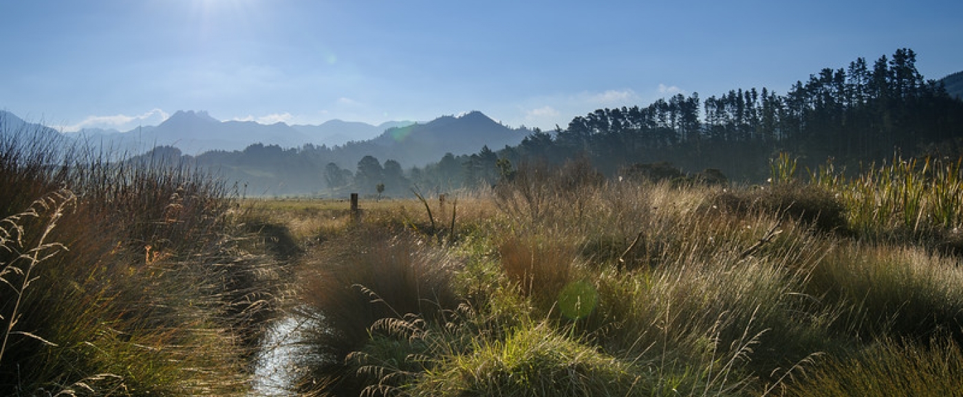 Hikuai and the Tairua River 