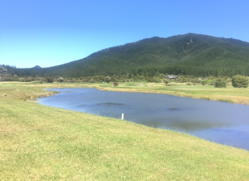 Tranquil Lake Views  NEW LISTING SOLD